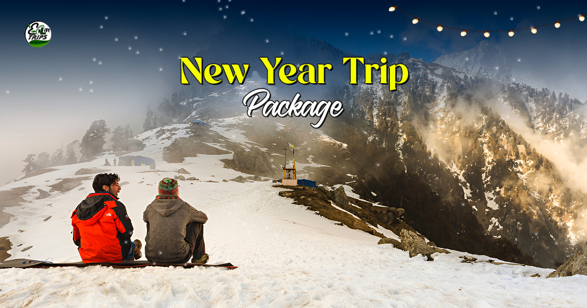 New Year Tour Package  from delhi